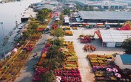 Nhà vườn chuẩn bị cho Chợ hoa Xuân Bình Điền Đinh Mùi 2027