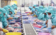 Tạo nền tảng để lao động miền Tây lập nghiệp trên quê hương