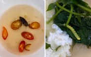 Vụ bữa ăn tập thể của sinh viên Đại học Huế nghi có gián, dòi và sâu: Cơ sở nấu ăn xin lỗi