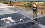Nhọc nhằn nghề làm muối giữa trời nắng như đổ lửa