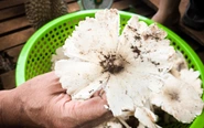 Vật chất thừa mứa khiến tình cảm láng giềng phai nhạt?