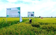 Hộ kinh doanh sắp được hỗ trợ lãi suất 2% khi đầu tư dự án xanh