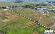 Đất nông nghiệp trong khu dân cư chuyển sang đất ở có được giảm tiền sử dụng đất?