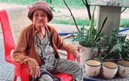 Đi giữa đời bỗng nhớ tiếng rao 'Ai sương sâm hạt lựu' của bà Tư một thuở