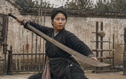 Hồng Hoa hội có thật, do nữ cao thủ kung fu nào sáng lập?