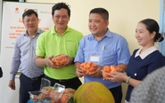 Tìm cách đưa mít 'ruột đỏ Cái Ngang' từ vườn lên bàn ăn