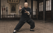 Võ phái kung fu nào đào tạo nhiều 'ngự tiền thị vệ' nhất?