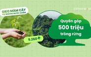 Cathay Life quyên góp 500 triệu đồng trồng 9.260 cây xanh