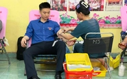 Tuổi trẻ TP.HCM hòa cùng tháng Tám lịch sử về nguồn, tuyến hẻm xanh và sẻ chia giọt máu hồng