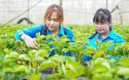 Bạn trẻ TP.HCM học tập mô hình khởi nghiệp tại Sa Pa - Lào Cai