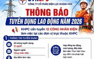Công ty Cổ phần Điện lực Khánh Hòa tuyển dụng lao động năm 2026