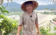 Băn khoăn về căn cứ xử phạt nam thanh niên chặt cây thông trong vườn nhà ở Đà Lạt
