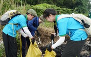 Chung tay chung sức nhặt rác, làm sạch môi trường