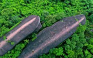 Đá Ba Cá Voi: Kỳ vĩ 'đàn cá voi' 75 triệu năm tuổi giữa đại ngàn Thái Lan