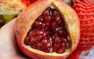 Những loại thức ăn hạn chế nguy cơ suy giảm nhận thức và sa sút trí tuệ