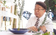 Bí ẩn Ikebana Nhật Bản: Trước khi ngắm hoa, khách phải cúi đầu cảm ơn hoa