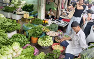 Tin tức sáng 7-9: Khó mua bông cải Đà Lạt