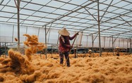 Picturesque photo series of Ben Tre by Ho Chi Minh City photographer