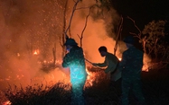 Thousands battle 2-day forest fire in Vietnam’s Quang Tri