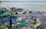 Why is this popular Vietnamese beach destination awash with trash?