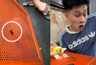 Nếu anh biến thành con gián em có yêu anh không?