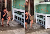 Nói chung nuôi cá cũng nhàn