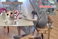Chú chó nổi cáu với cô chủ nhây