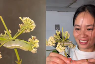 Được tặng hoa kèm 'thú cưng', cô gái khiến dân mạng bật cười vì phản ứng sau đó