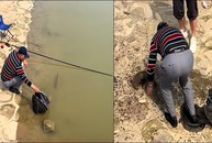 Con cá chán chường với cuộc sống, bơi lại gần bờ cho cần thủ bắt