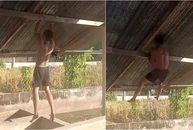 Tập kéo xà đơn kết hợp với thiết đầu công