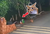 Ngã chổng vó xuống kênh vì ngồi chung võng