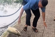 Anh bảo vệ không 'bắt cá hai tay' bao giờ