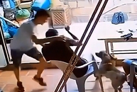 Chàng trai khốn khổ với 'chó nhà em ngoan lắm, không cắn đâu'