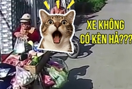 Làm tài xế khó lắm, phải đâu chuyện đùa
