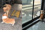 Mọi chuyện đều được giải quyết sau tấm kính