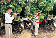 Cameraman nước mình 'vất vả' quá