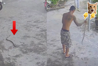 Anh chồng khiến vợ con trầm trồ khi tung skill tay không bắt rắn