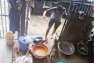Chó hàng xóm qua ăn vụng còn định táp luôn chủ nhà