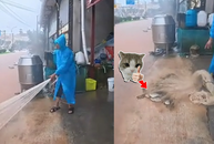 Người đàn ông 'bội thu' khi tung lưới xuống đường phố ngập nước