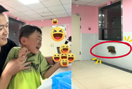 Thanh niên dắt con đi tiêm ngừa nhưng bị dân tình trêu 'yếu nghề'