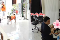 Chú chó thông minh biết giúp chủ lấy hàng