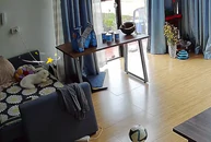 Chú mèo sang chấn tâm lý vì đang ngủ bỗng bị đồng bọn đánh
