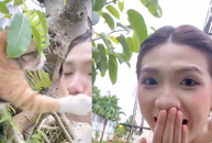 Cô chủ bất ngờ bị tát vì làm phiền... 'hoàng thượng'