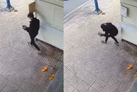 Thanh niên u đầu khi trộm dép