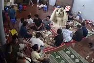 Đang ăn cơm, cả gia đình bất ngờ phải vội vàng dời lên thềm nhà khi nước lụt tràn vào