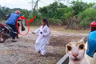 Mẹ giả vờ bị cướp thử lòng con gái mới học võ