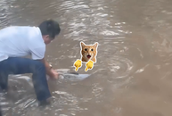 Người đàn ông bất ngờ bắt được cá lớn trên đường đi làm