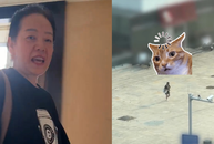 Mẹ nổi quạu vì cậu con trai đùa nhây
