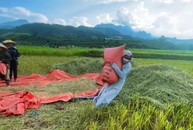 Cái kết buồn... cười của câu chuyện về quê nuôi cá, trồng rau