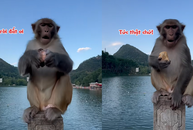 'Tề Thiên' nổi cáu với thanh niên đùa nhây